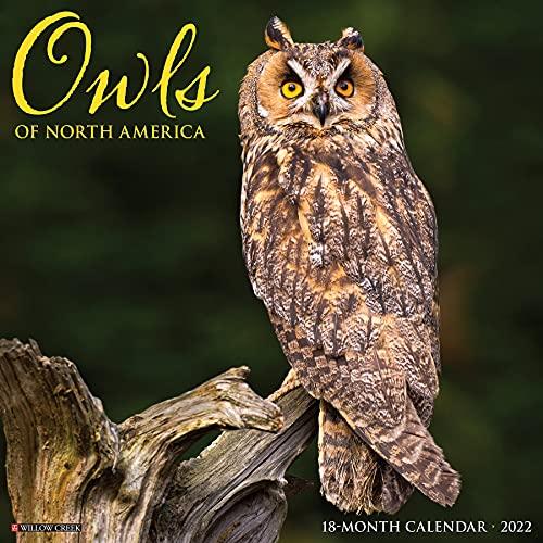 Owls 2022 Wall Calendar