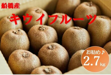 船橋産未追熟バラ詰めキウイフルーツ2.7kgを入れて、約2.8kg （12 5～12 31発送）まるり(E10)