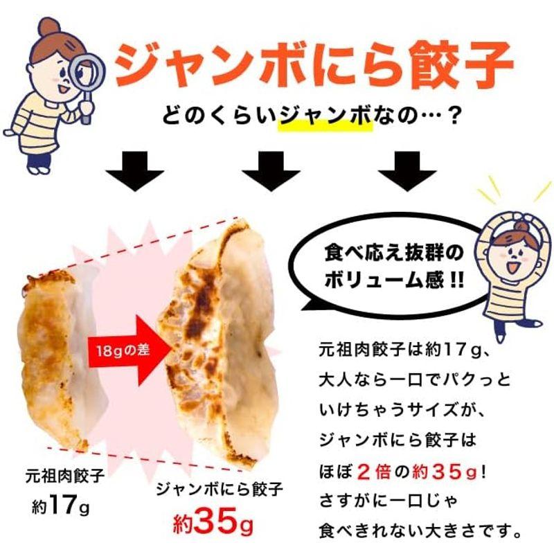 大阪王将 ジャンボにら餃子 60個 ニラ餃子冷凍餃子 冷凍食品 冷凍惣菜 ジャンボ餃子 お取り寄せグルメ 詰め合わせ セット おつまみ