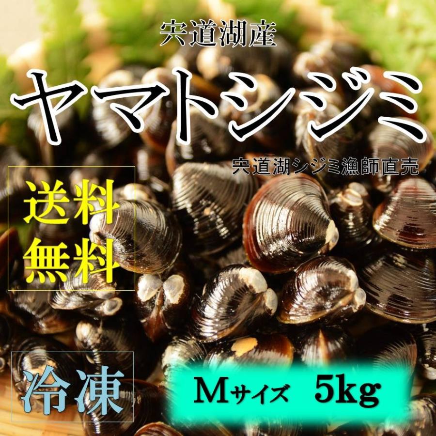 シジミ 宍道湖産 Mサイズ ５ｋｇ 送料無料 冷凍 砂抜き済み