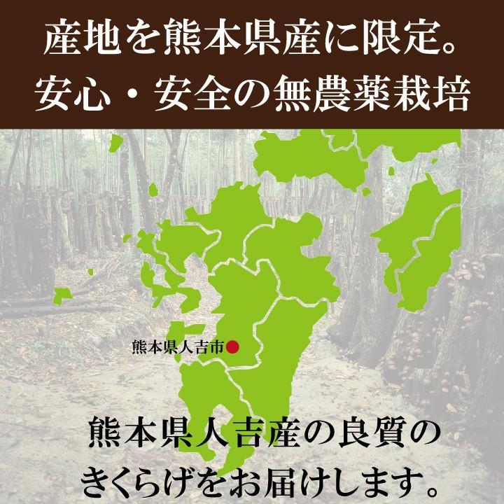 熊本県産きくらげ150ｇ　国産 送料無料 ビタミンD ダイエット 快便 無農薬 乾燥 約1ヶ月分