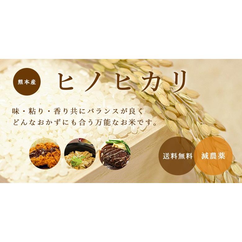 ヒノヒカリ 30kg 九州 熊本産 米 減農薬 送料無料