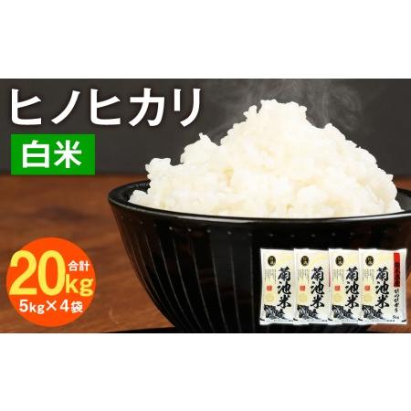 ふるさと納税 熊本県菊池産 ヒノヒカリ 5kg×4袋 計20kg 精米 お米 白米 令和5年産 熊本県菊池市