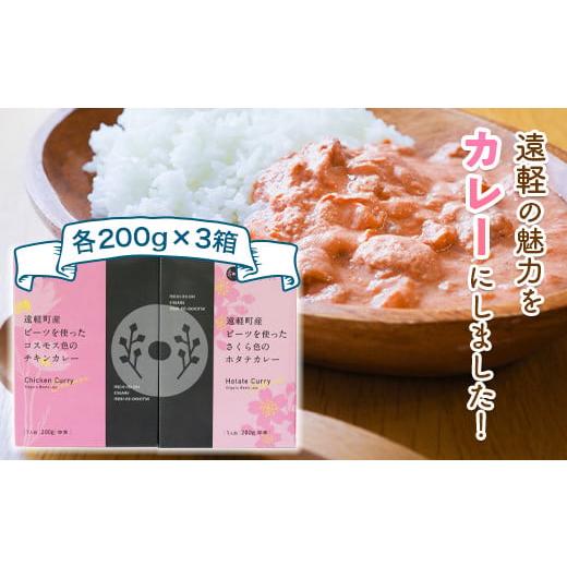 ふるさと納税 北海道 遠軽町 道の駅 遠軽森のオホーツク限定カレーセット