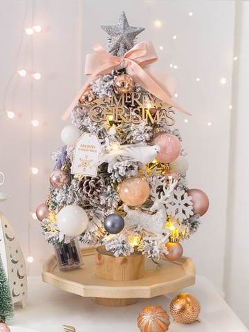 圣誕節裝飾品家用圣誕樹迷你小型擺件桌面場景小套餐氛圍布置禮物