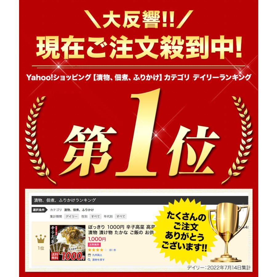 賞味期限2023年12月26日 辛子高菜 600g入(150g×4袋) 1000円 ポッキリ 送料無料 高菜漬け 小分け ご飯 お供 漬け物 1-5営業以内発送予定(土日祝除)