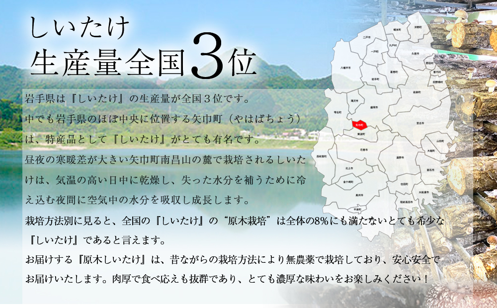 2024年2月発送　希少！原木しいたけ「生椎茸」1kg