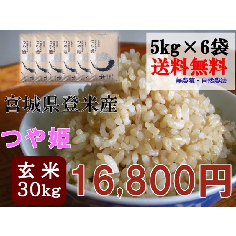 米 お米 令和5年産 つや姫 30kg (5kg×6袋) 玄米 送料無料  宮城 登米 米 特別栽培米 農薬・化学肥料不使用