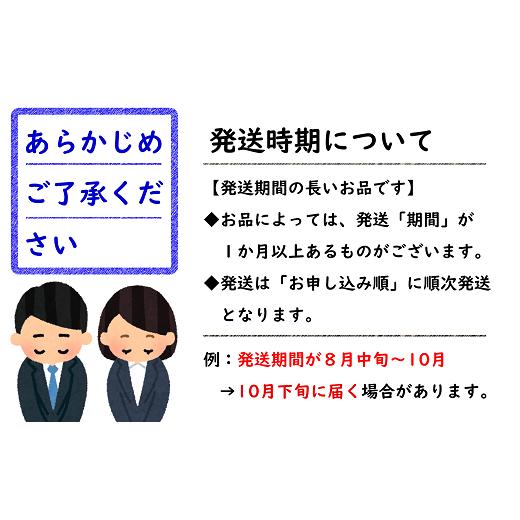 ふるさと納税 山形県 南陽市  シャインマスカット＆ピオーネ 計約1.5kg (2〜4房 秀) 《令和6年9月下旬〜10月下旬発送》 『フードシステ…