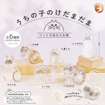 『現貨』我家毛孩透明吊飾  Bright Link  扭蛋   轉蛋   【蛋樂寶】