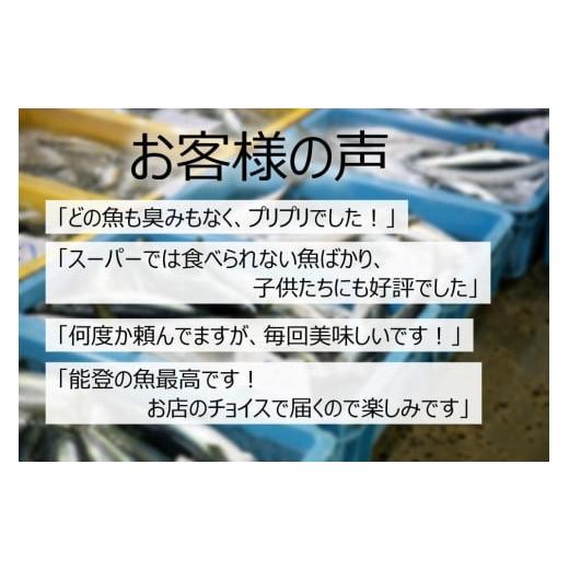 ふるさと納税 石川県 能登町 能登の鮮魚を捌いてお届け！旬の刺身盛り合わせセット（2人前）