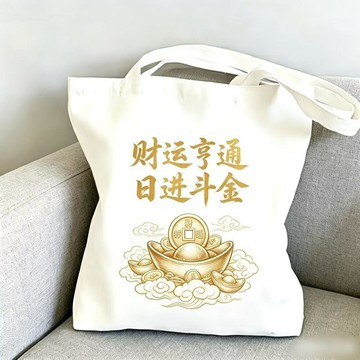 臺灣出貨💥【可開發票】財運亨通日進斗金帆布包容量元寶銅錢托特包國潮搞錢文字手提布袋