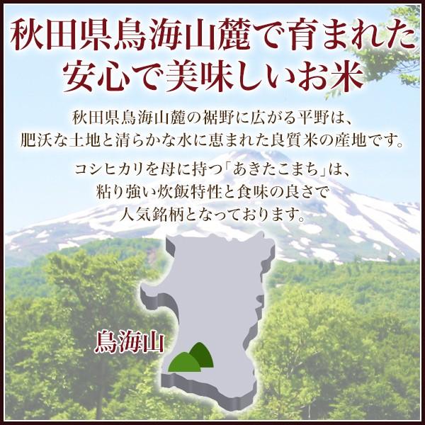 あきたこまち お米 秋田県産  5kg　秋田のお土産