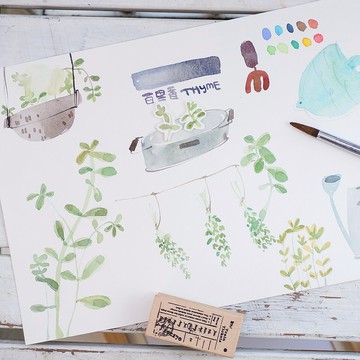 輕水彩手繪 / 線上課程 / 初學者水彩入門 / 香草植物-1