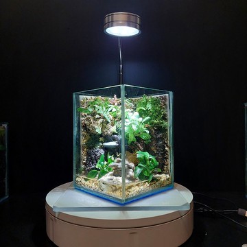 多變組合AO-1520生態造景缸