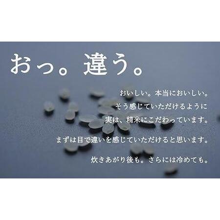 ふるさと納税 南魚沼産コシヒカリ『塩沢地区100%』2kg×2袋 6ヶ月連続 新潟県南魚沼市