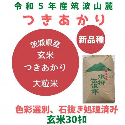 ふるさと納税 土浦市 令和5年茨城県産つきあかり玄米30kg　黒斑点米・小石粒など除去済み