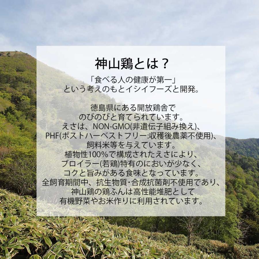 神山鶏　むね肉　210g［イシイフーズ］徳島　平飼い　開放型鶏舎　放し飼い