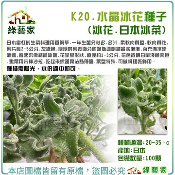 K20.水晶冰花(冰花.日本冰菜)種子100顆(生菜料理柔軟肉質莖,可做料理裝飾用)香草類種子【綠藝家】