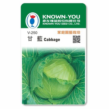 甘藍籽【大里種苗】種子│菜苗│蔬果│菜籽│卷心菜│料理│天然有機│佳餚│甘藍菜