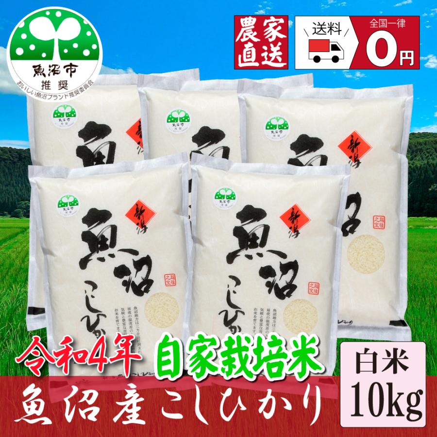 新米  お米１０ｋｇ 白米 令和5年産 魚沼産コシヒカリ 2Kgを×５袋 安心安全 農家直送 信頼と品質のお米 魚沼市推奨コシヒカリ 送料無料