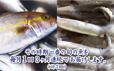 ～海の幸～旬の朝どれ鮮魚セット カネアリ水産の鮮魚定期便３ヶ月 季節 四季 旬 春 夏 秋 冬 鮮魚 カツオ サバ 金目鯛 カンパチ 魚 海鮮 冷蔵