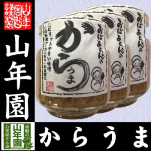 おばあちゃんのからうま 100g×3個セット ピリットやさい味噌 お茶漬け・おにぎり・お豆腐に Made in Japan 送料無料 国産 緑茶 ダイエッ