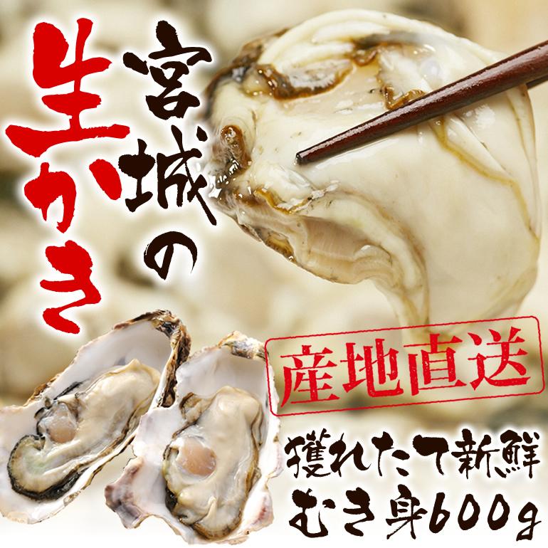 冷凍品ではありません！獲れたて新鮮な 生牡蠣（生食用 300g×2本）冷蔵 取り寄せ 生食 かき むき身