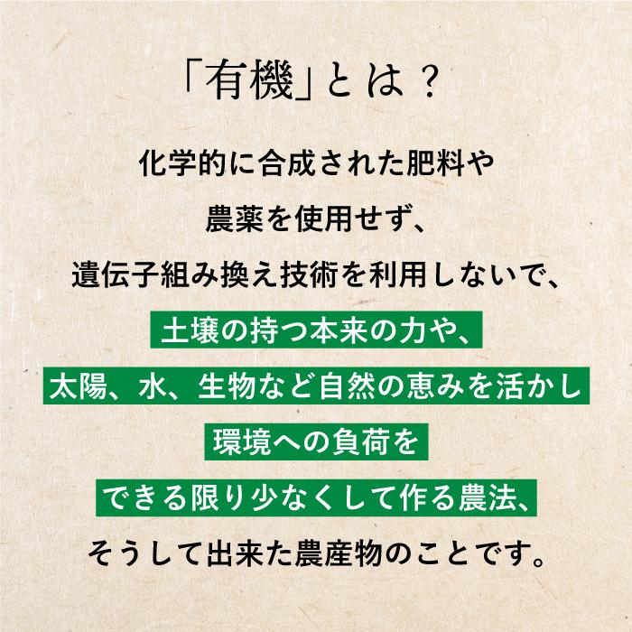 ニューサイエンス社　有機 金いりごま　50ｇ