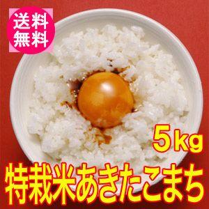 送料無料(北海道・九州・沖縄除く)令和5年産 新米 こだわり！特別栽培米秋田県仙北産あきたこまち5kg