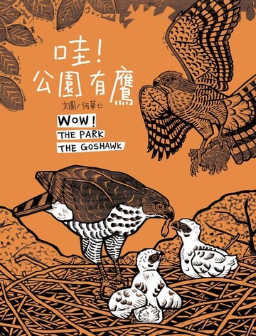 【電子書】哇! 公園有鷹