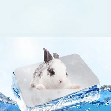寵物涼墊 降溫板 降溫鋁板 小寵用品 小寵睡墊 加厚鋁板 小寵散熱 鋁製涼板 散熱板 兔子 天竺鼠 龍貓