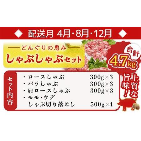 ふるさと納税 「どんぐりの恵み豚」お肉満載定期便(5ヶ月)_T60（5）-1102_(都城市) 万能スライスセット バラエティセット こま切れセット しゃぶ.. 宮崎県都城市