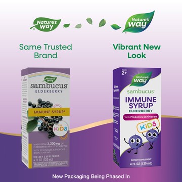 Nature's Way Sambucus Standardized Elderberry Syrup For Kids Black Elderberry 4 fl oz