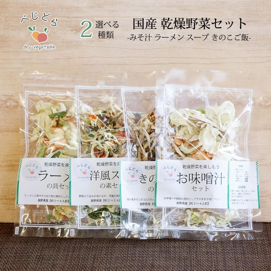 送料無料 1000円 ポッキリ 乾燥野菜 国産 乾燥野菜ミックス 無添加 選べる 2点 セット