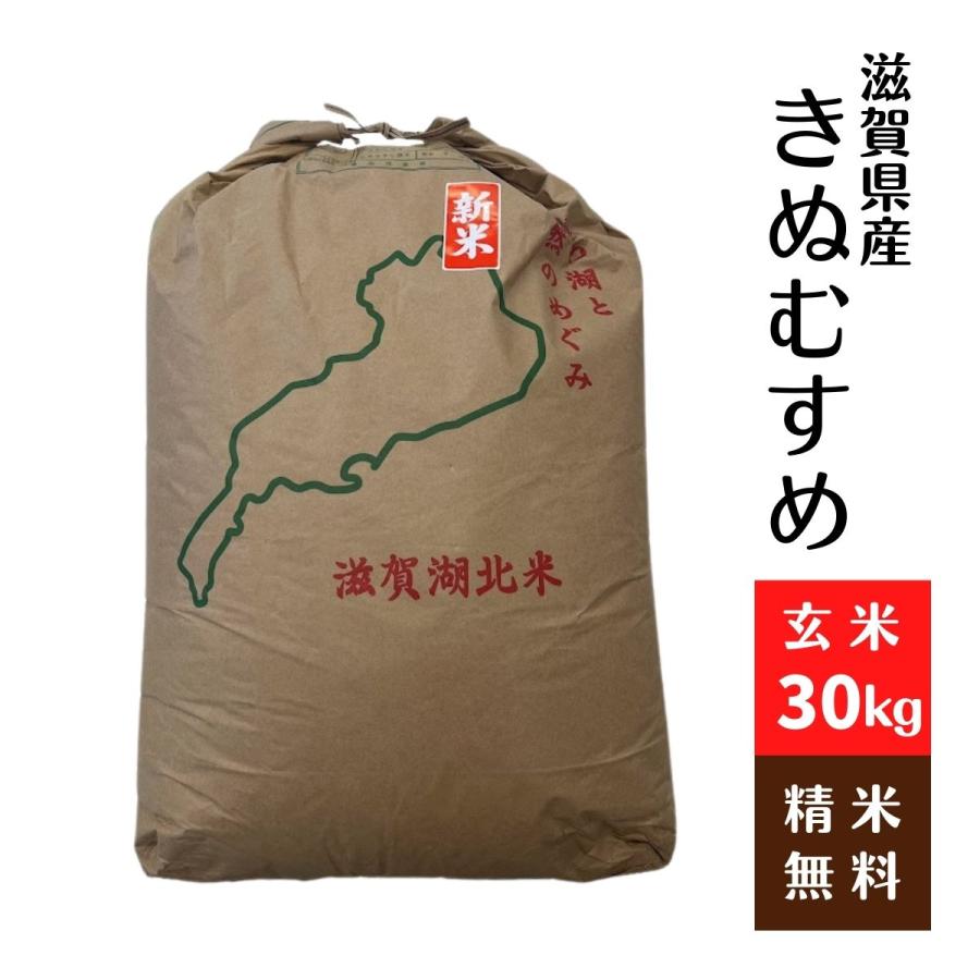 滋賀県産 きぬむすめ  令和5年 玄米30Kg 1等