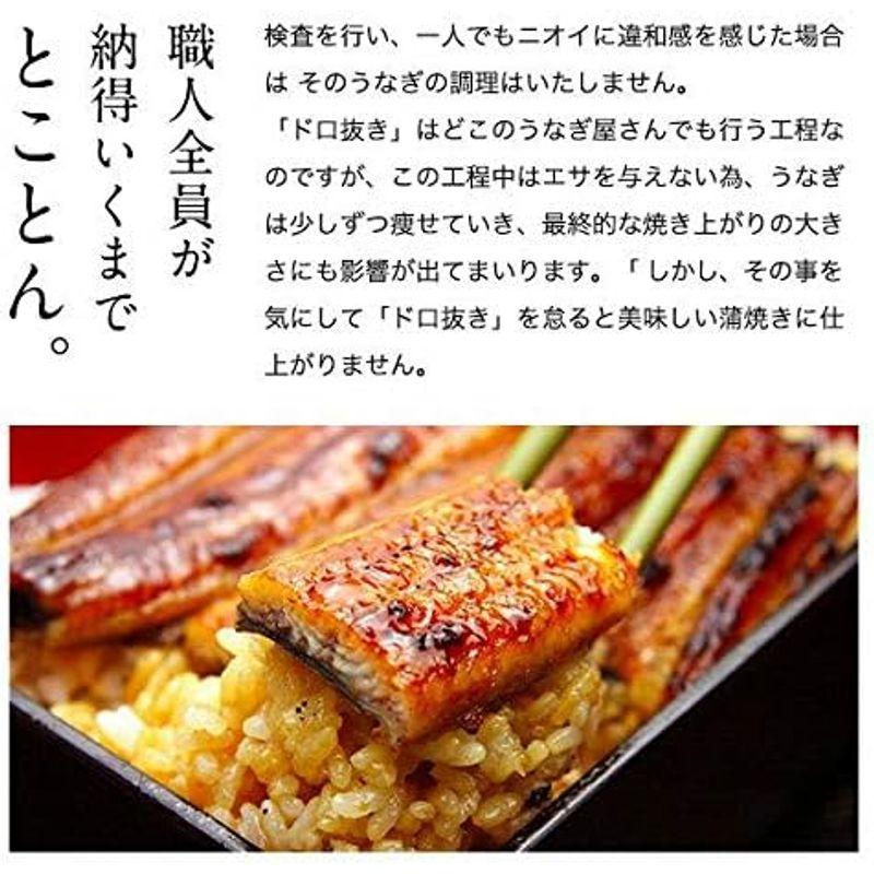 うなぎ屋かわすい 特大国産 うなぎ 蒲焼き（170g）2尾セット（タレ付き 山椒別売り) 川口水産