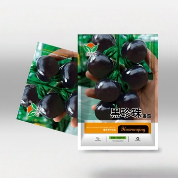 🌱【原裝水果種子】黑珍珠番茄  親測出芽率超85% 糖度超高 風味濃郁 獨特深紫紅色 生食沙拉首選 陽台盆栽庭院可種