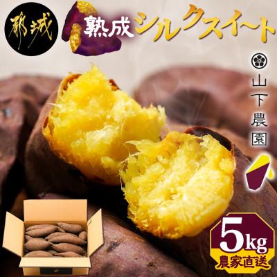 ふるさと納税 都城市 山下農園の熟成シルクスイート 5kg