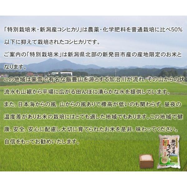 ふるさと名物商品 2022年度産 令和4年産 米 贈答に好評！ 特別栽培米 新潟県産コシヒカリ 10kg(5kg×2個) 代引不可 同梱不可