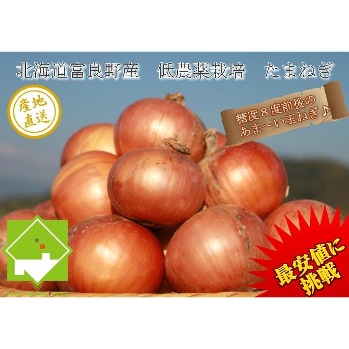 たまねぎ　訳あり　８ｋｇ　送料無料　北海道富良野産