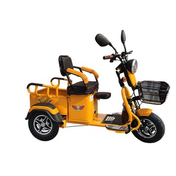 雙人電動三輪車家用新款小型接送孩子老人老年拉貨載重王電瓶三輪 YJ185 公司貨 快速出貨