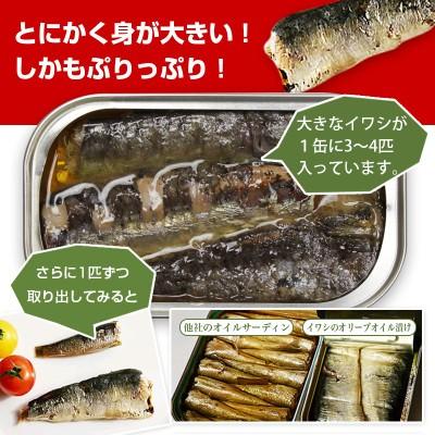 大きなイワシのオリーブオイル漬け125g 5個セット