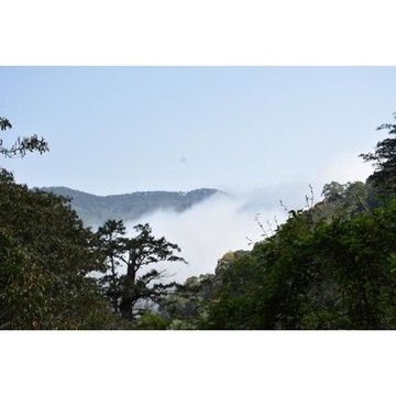 桃園旅遊｜拉拉山國家森林遊樂區一日｜桃園出發-25TMTAOLAT