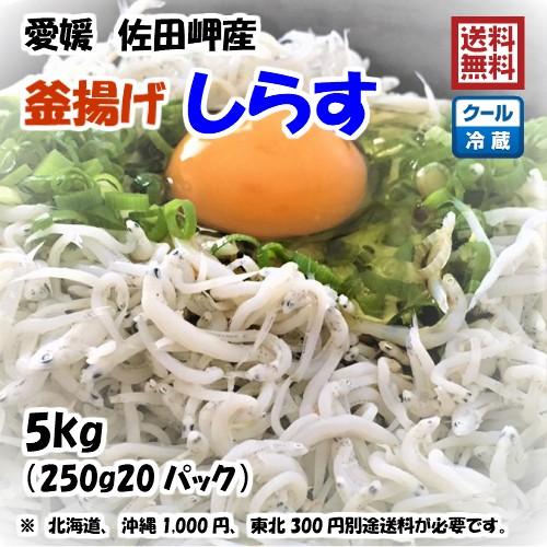 釜揚げしらす 5kg （250g×20p） 冷蔵便 愛媛 佐田岬産 浜から直送 無添加・無着色 送料無料 北海道・沖縄・東北は別途送料 宇和海の幸問屋