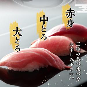 ふるさと納税 b10-070　天然本まぐろ詰め合わせ 4回隔月でお届け 静岡県焼津市