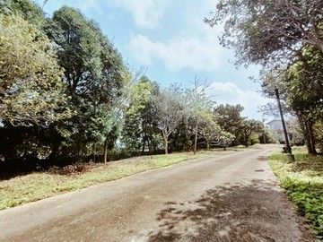 浪漫台三庭園大農舍｜苗栗縣南庄鄉下員林