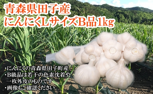 青森県田子産にんにくLサイズB品　約1kg