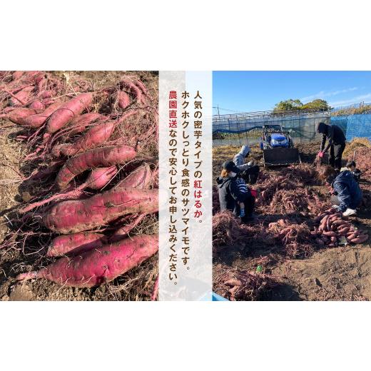 ふるさと納税 福岡県 筑後市 農園直送 福岡県産 紅はるか 10kg