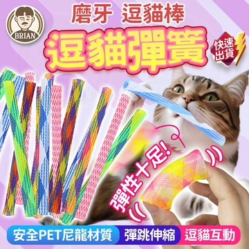 寵物紓壓玩具【布萊恩👨🏻隔日到貨】逗貓玩具 逗貓神器 捲管彈簧尼龍彈跳玩具 彈簧逗貓棒 伸縮逗貓棒 彈簧玩具 寵物玩具